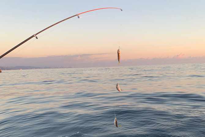 Морская рыбалка в Сочи